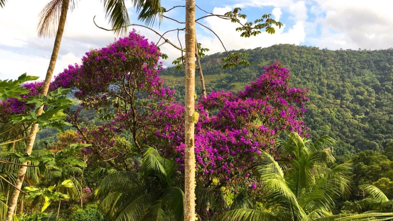 Casa Da Floresta Pico Da Aguia 파라티 외부 사진