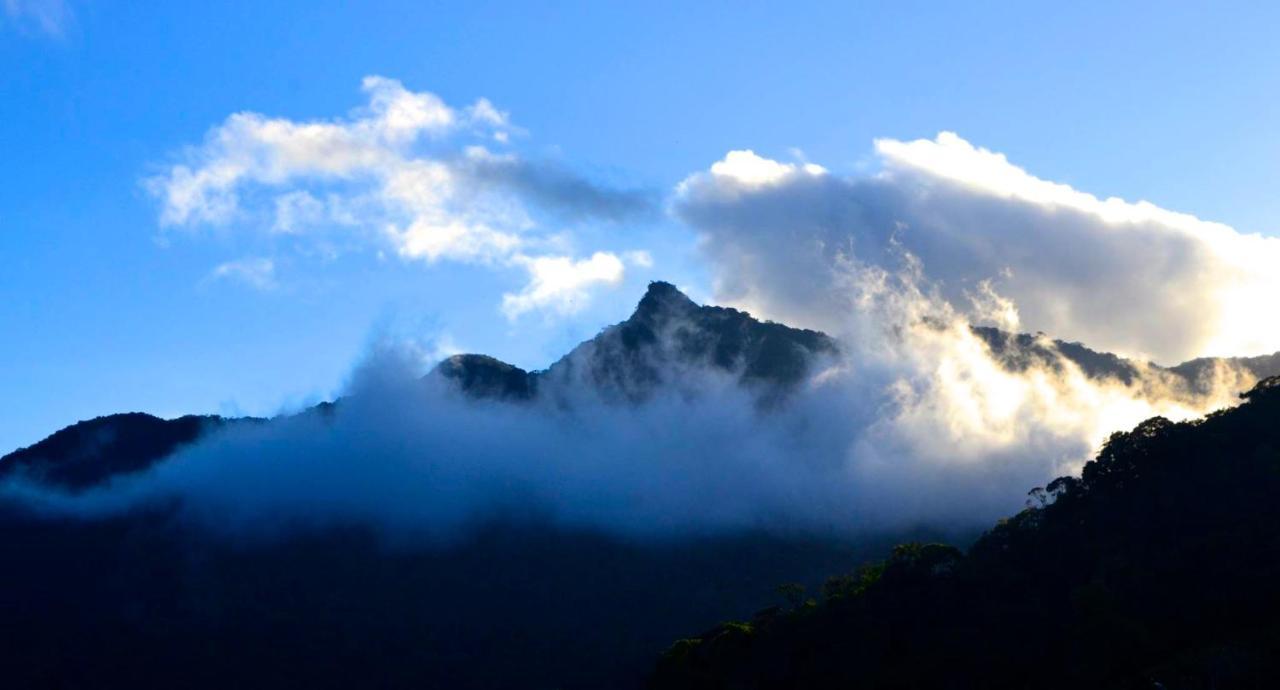 Casa Da Floresta Pico Da Aguia 파라티 외부 사진
