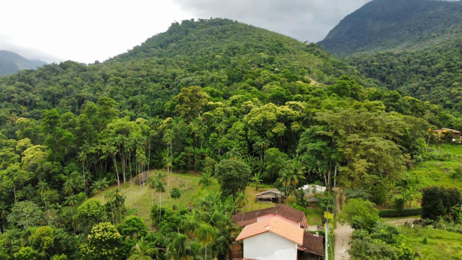 Casa Da Floresta Pico Da Aguia 파라티 외부 사진