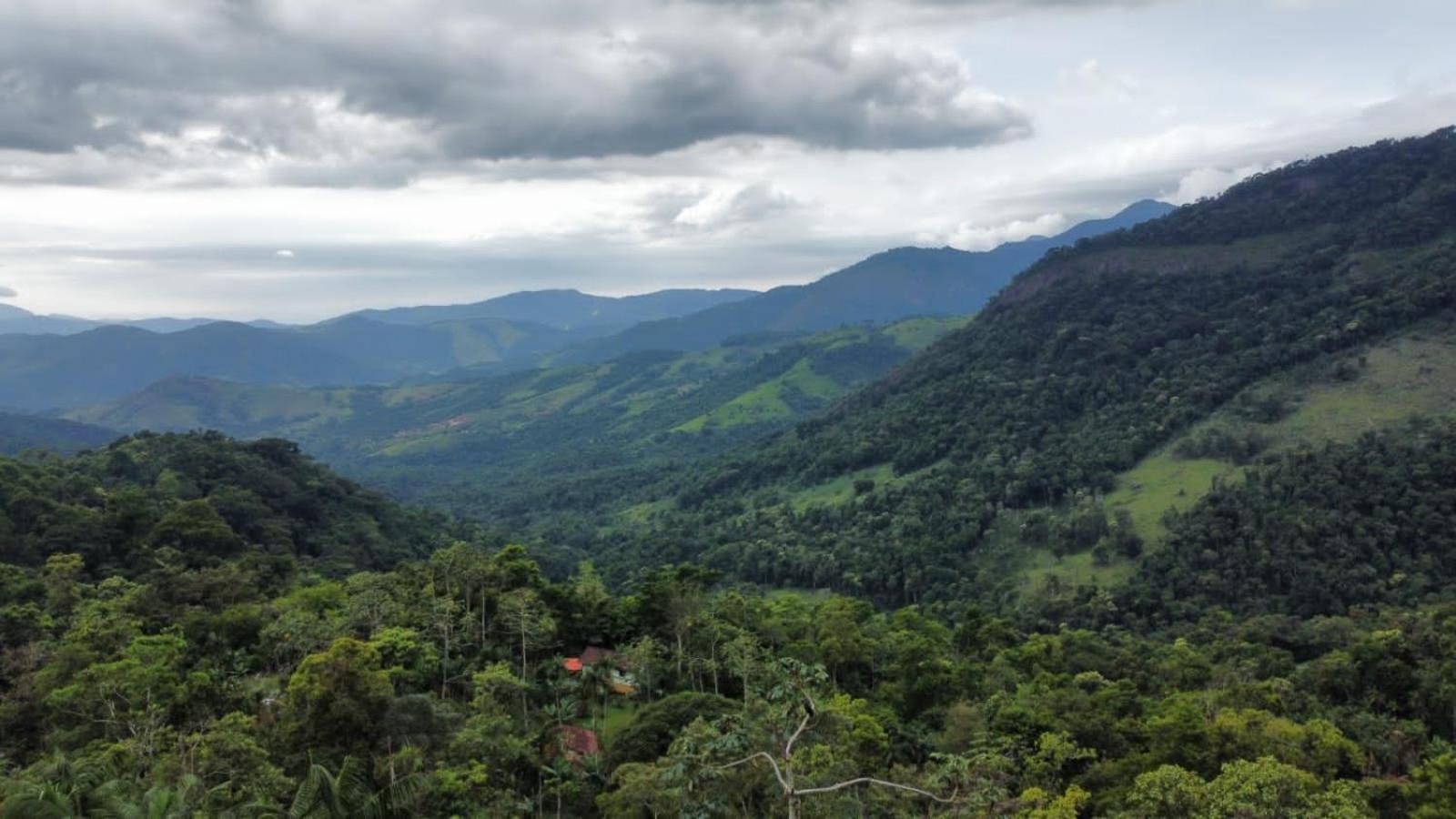 Casa Da Floresta Pico Da Aguia 파라티 외부 사진