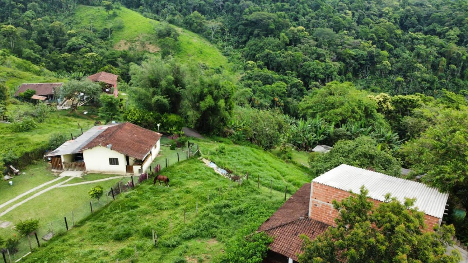 Casa Da Floresta Pico Da Aguia 파라티 외부 사진