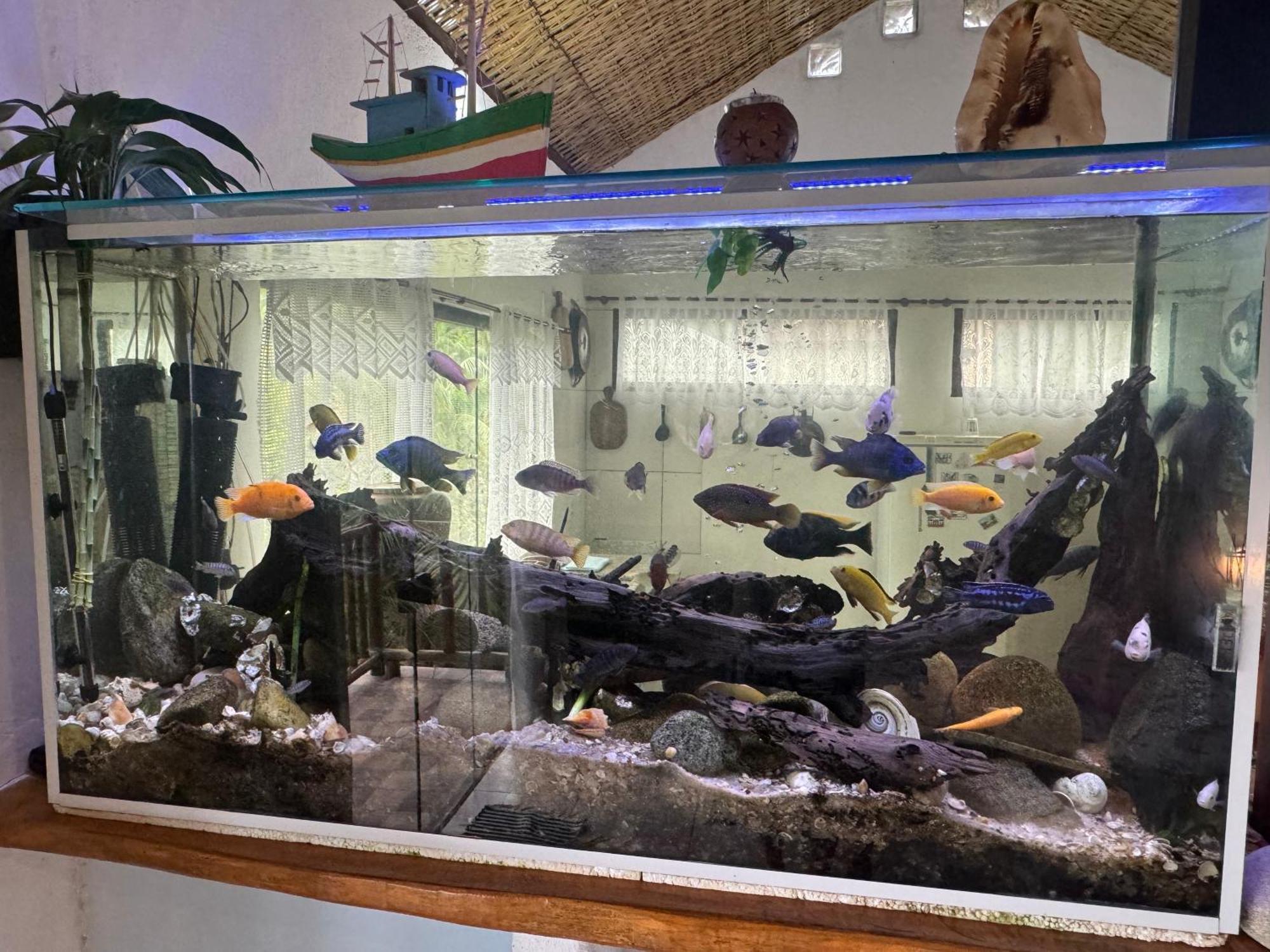 Casa Da Floresta Pico Da Aguia 파라티 외부 사진